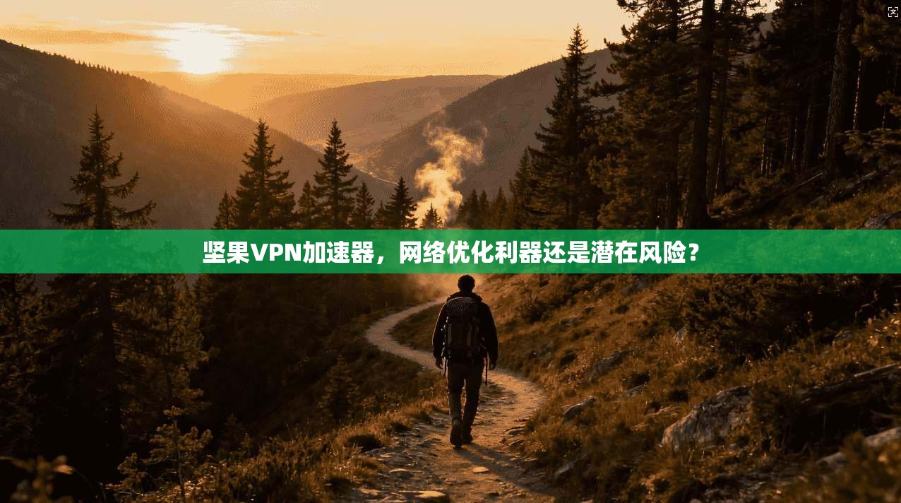 坚果VPN加速器,网络优化利器还是潜在风险?