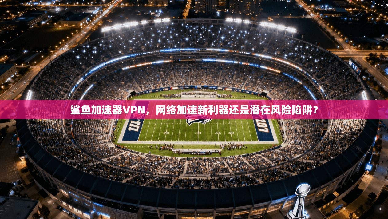 鲨鱼加速器VPN，网络加速新利器还是潜在风险陷阱？