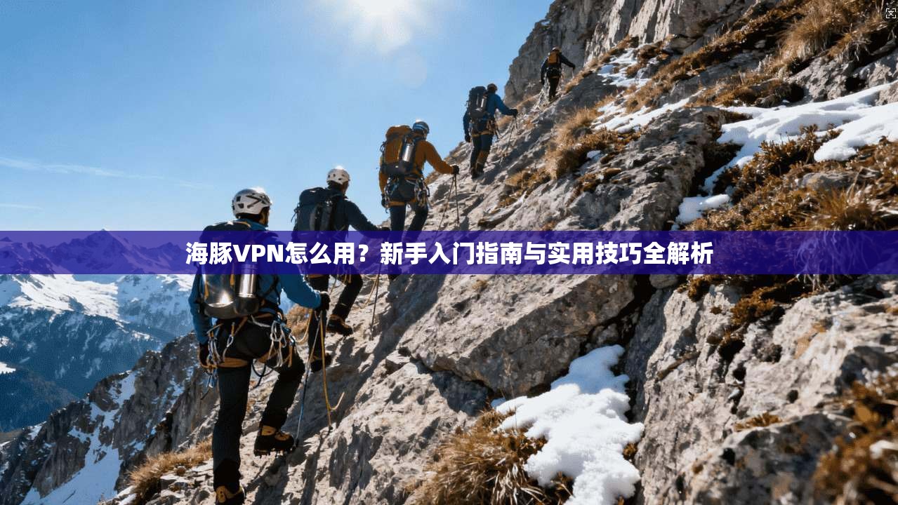 海豚VPN怎么用？新手入门指南与实用技巧全解析