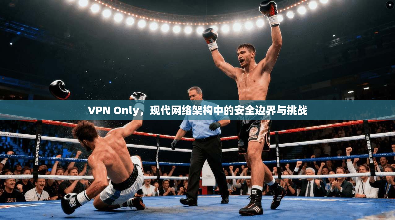 VPN Only，现代网络架构中的安全边界与挑战