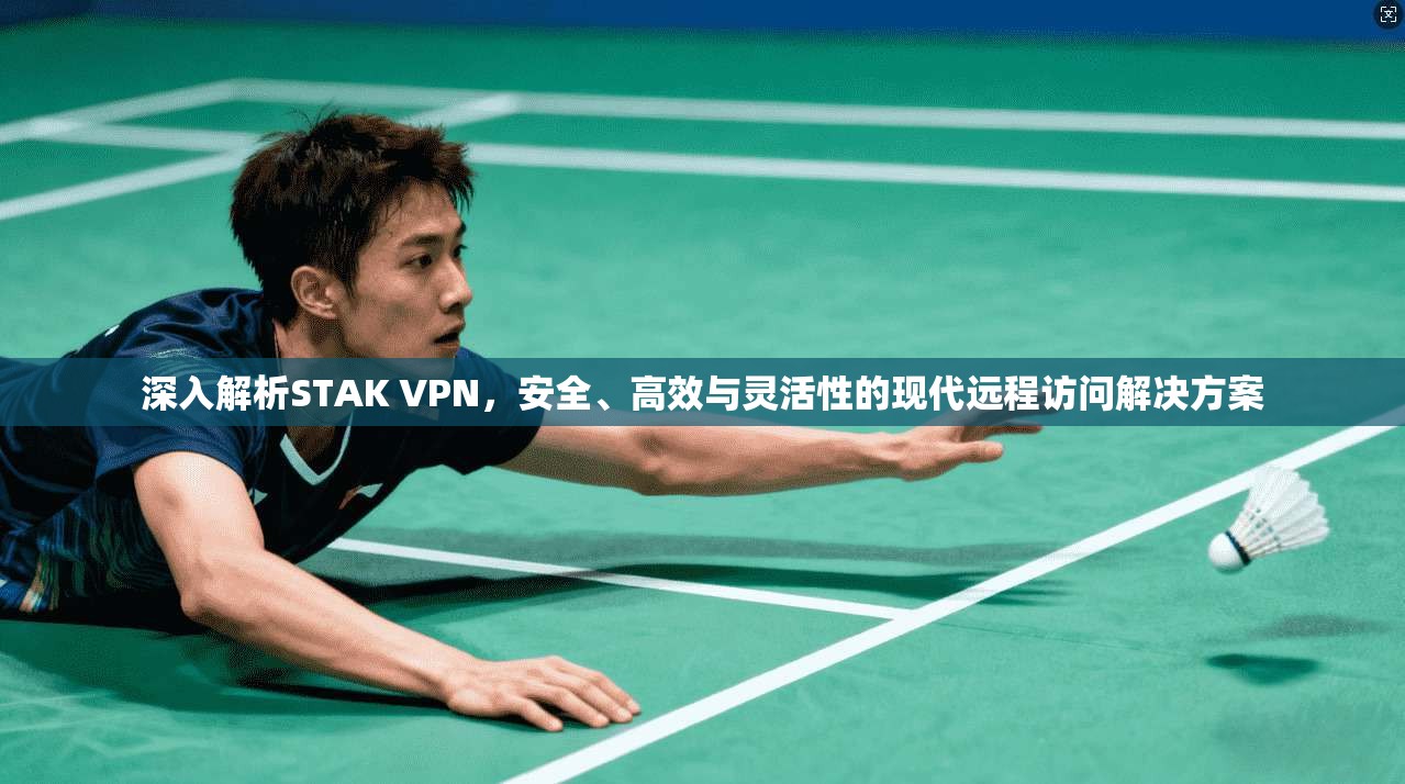 深入解析STAK VPN，安全、高效与灵活性的现代远程访问解决方案
