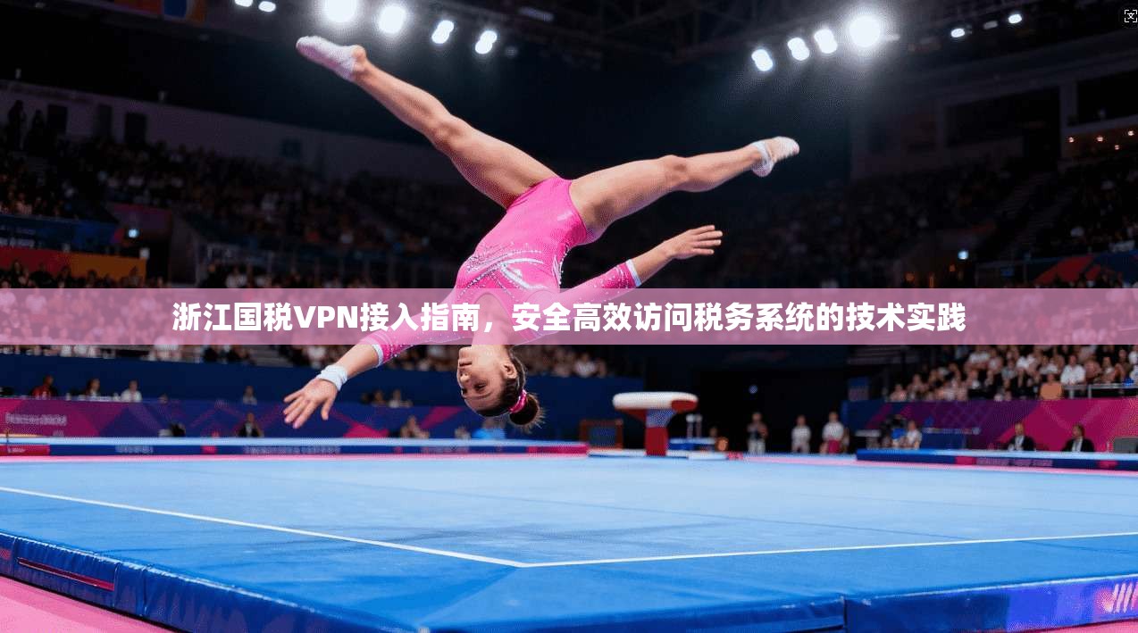 浙江国税VPN接入指南，安全高效访问税务系统的技术实践