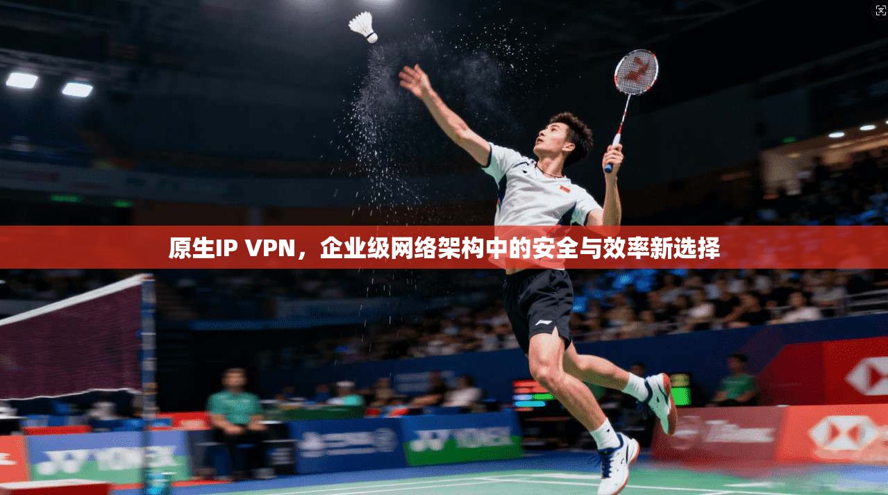 原生IP VPN，企业级网络架构中的安全与效率新选择