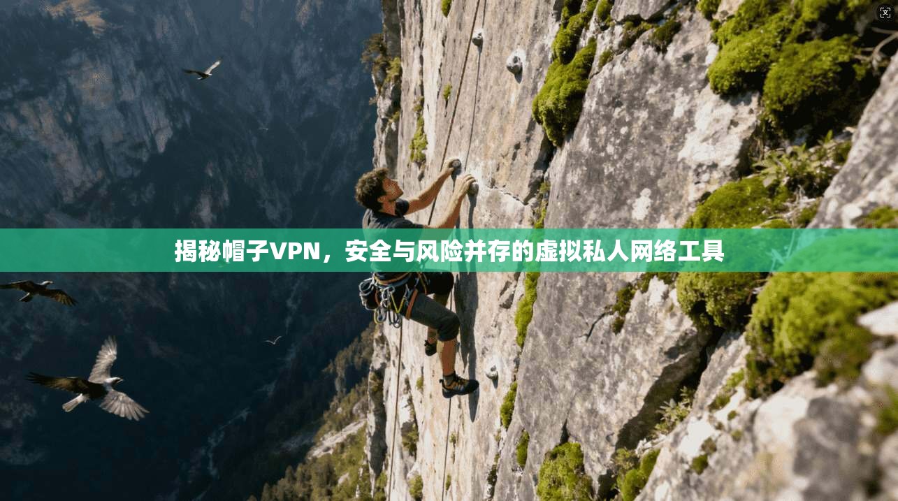 揭秘帽子VPN,安全与风险并存的虚拟私人网络工具