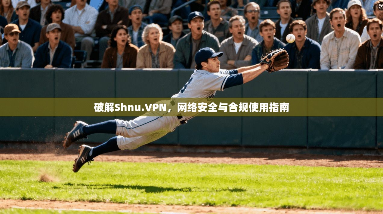 破解Shnu.VPN，网络安全与合规使用指南