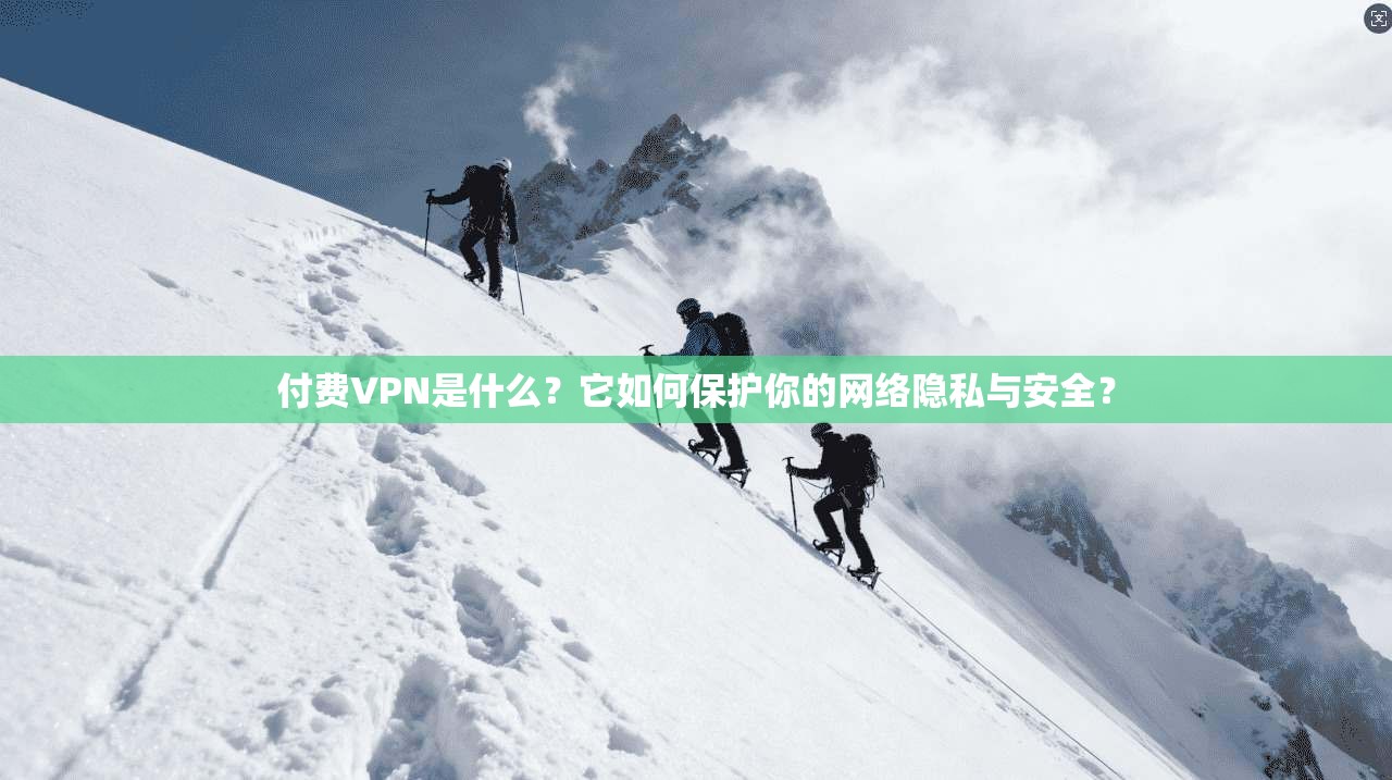 付费VPN是什么？它如何保护你的网络隐私与安全？
