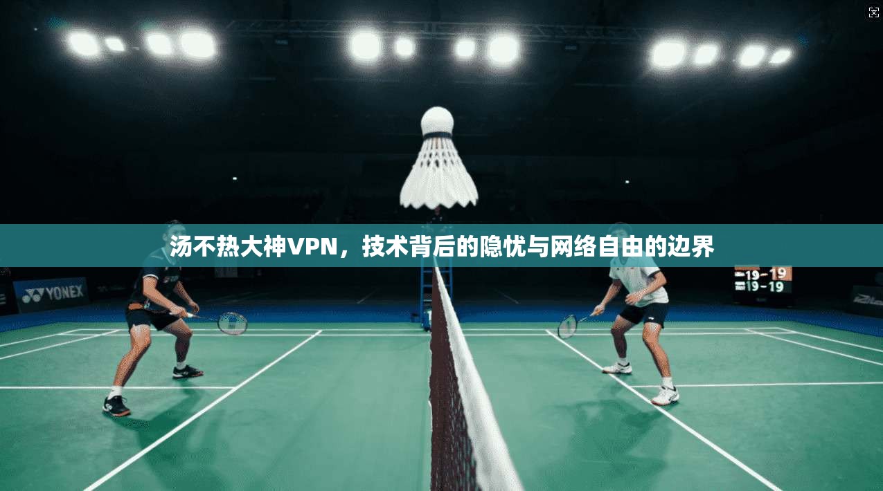汤不热大神VPN,技术背后的隐忧与网络自由的边界