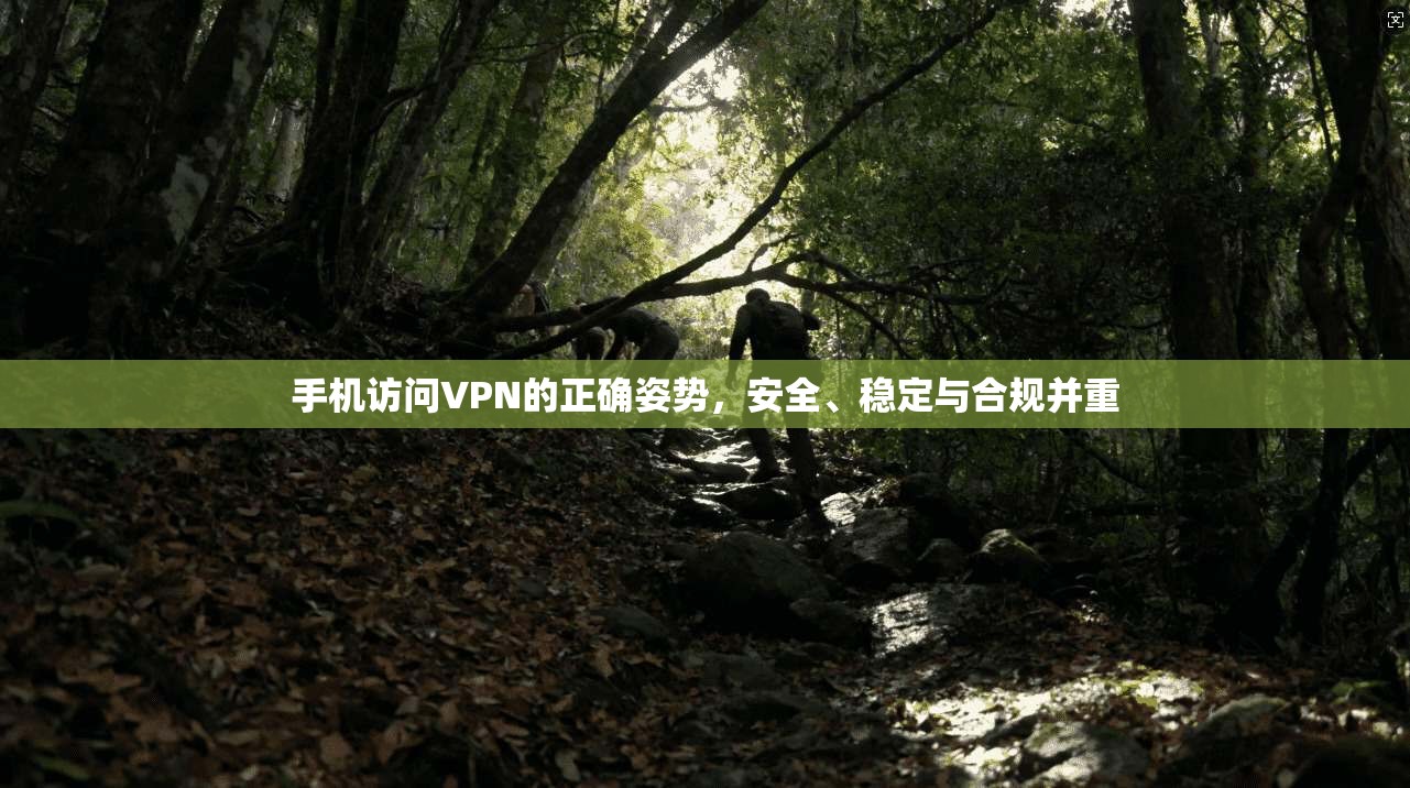 手机访问VPN的正确姿势，安全、稳定与合规并重