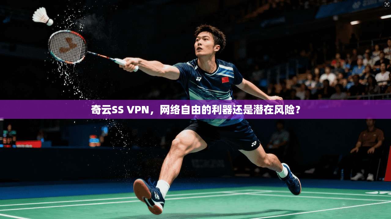 奇云SS VPN，网络自由的利器还是潜在风险？