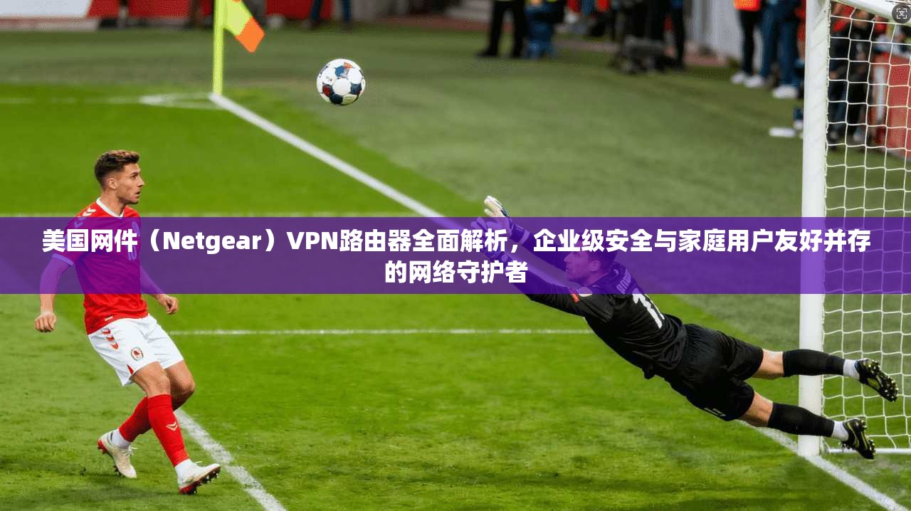 美国网件（Netgear）VPN路由器全面解析，企业级安全与家庭用户友好并存的网络守护者
