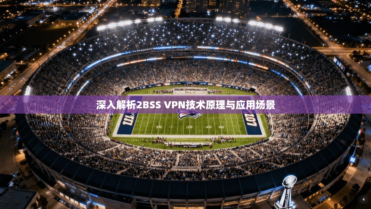 深入解析2BSS VPN技术原理与应用场景