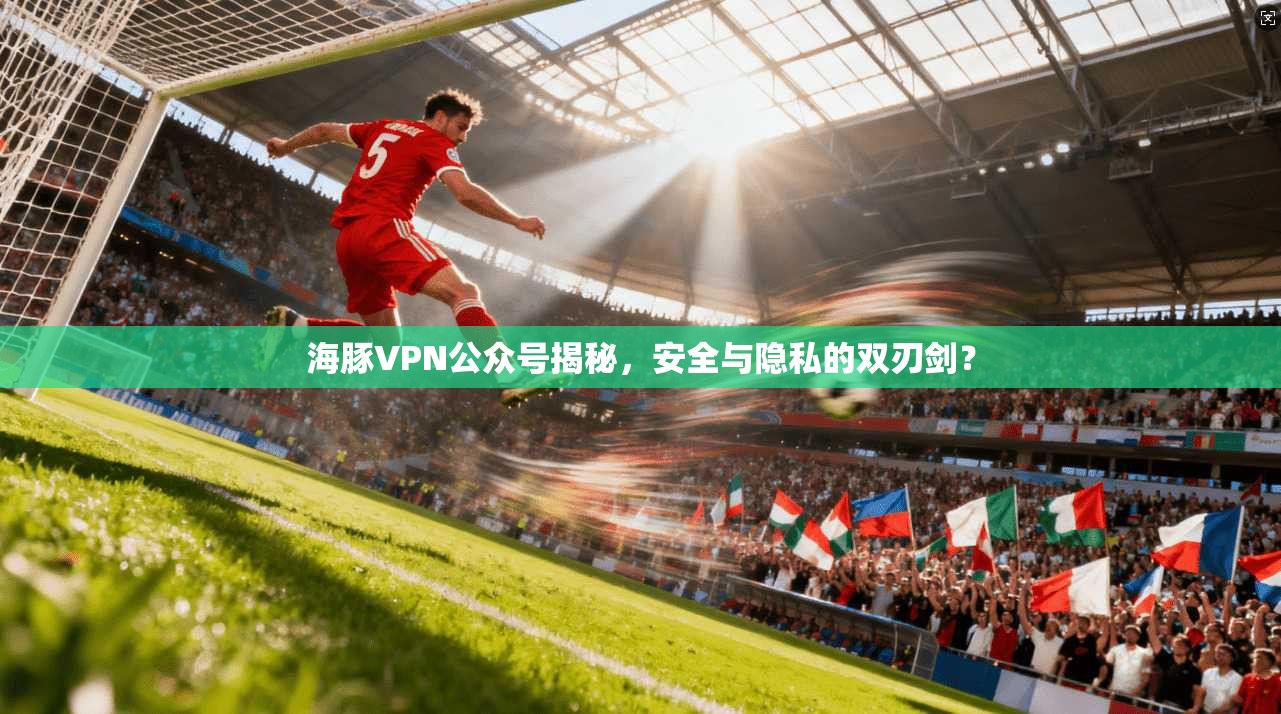 海豚VPN公众号揭秘,安全与隐私的双刃剑?