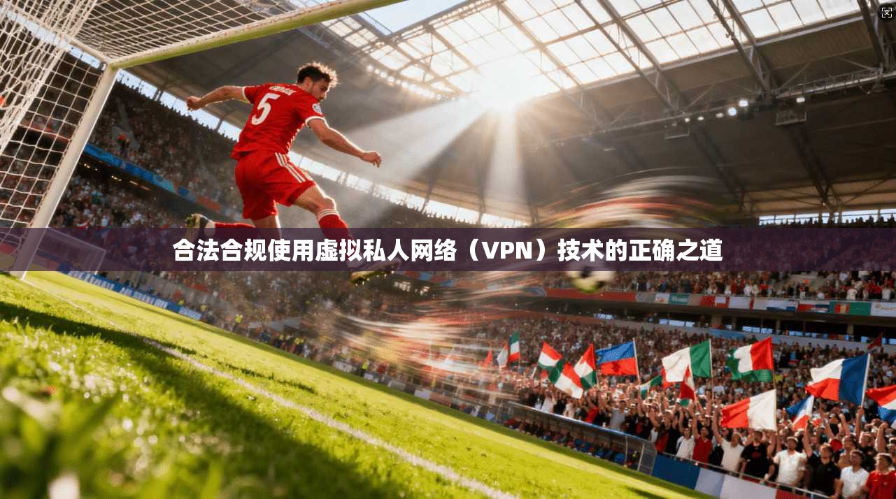 合法合规使用虚拟私人网络（VPN）技术的正确之道