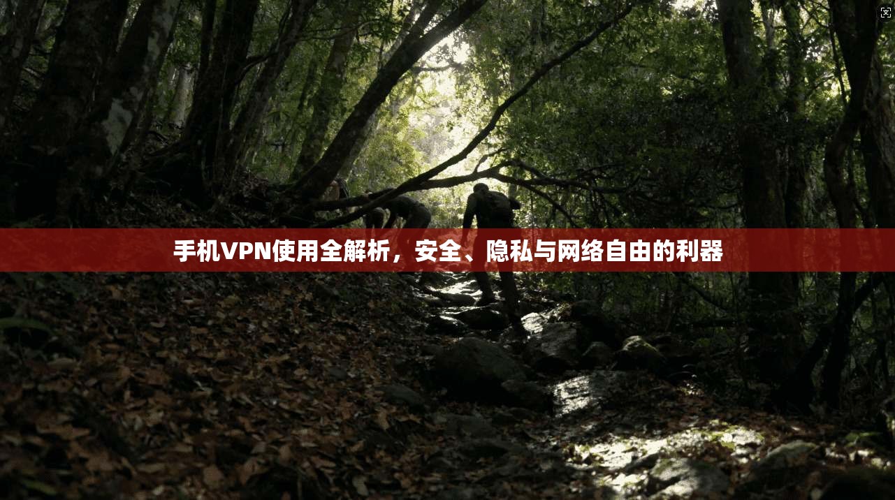 手机VPN使用全解析，安全、隐私与网络自由的利器