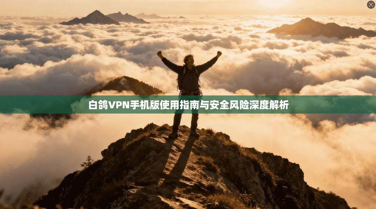 白鸽VPN手机版使用指南与安全风险深度解析