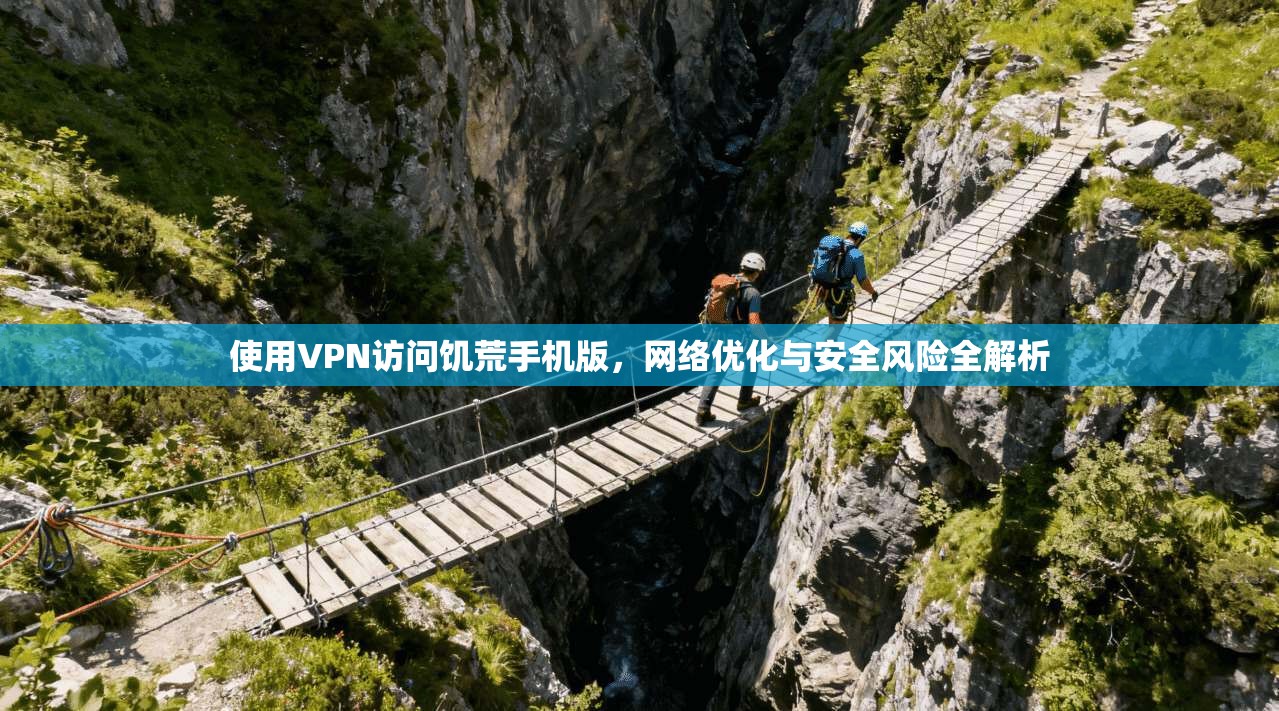 使用VPN访问饥荒手机版,网络优化与安全风险全解析