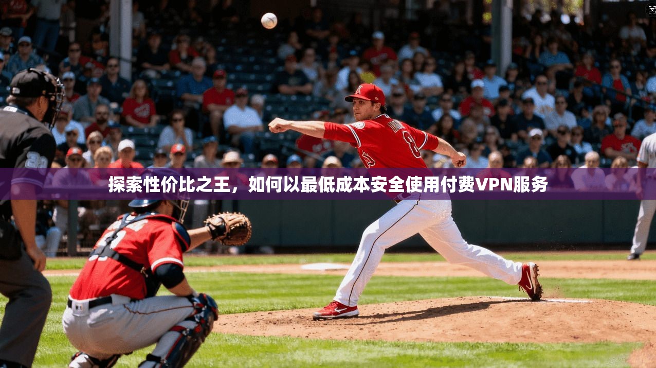 探索性价比之王,如何以最低成本安全使用付费VPN服务