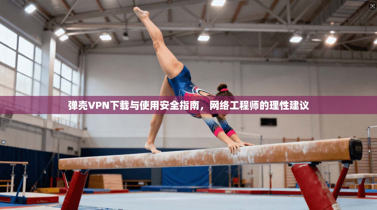 弹壳VPN下载与使用安全指南,网络工程师的理性建议