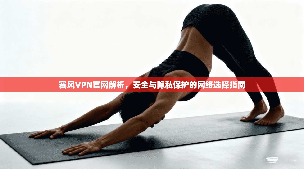 赛风VPN官网解析，安全与隐私保护的网络选择指南