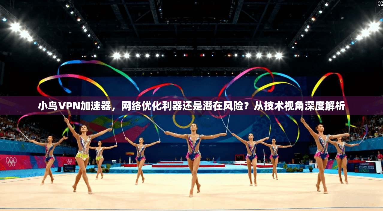 小鸟VPN加速器,网络优化利器还是潜在风险?从技术视角深度解析