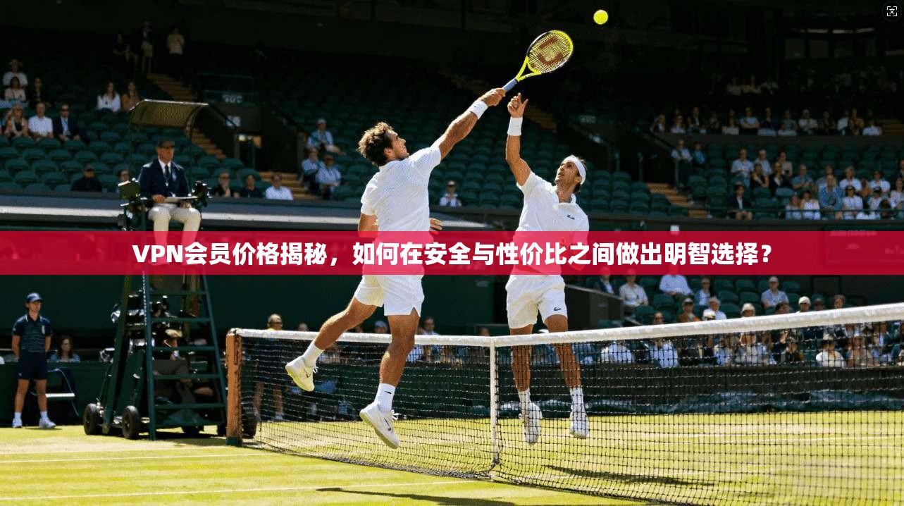 VPN会员价格揭秘,如何在安全与性价比之间做出明智选择?