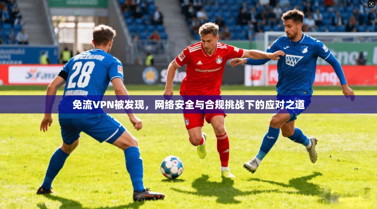 免流VPN被发现，网络安全与合规挑战下的应对之道