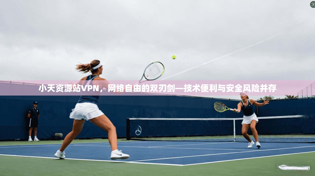 小天资源站VPN，网络自由的双刃剑—技术便利与安全风险并存