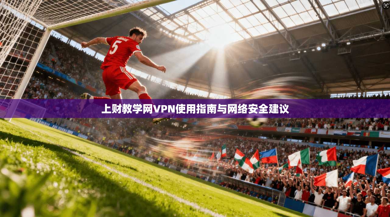 上财教学网VPN使用指南与网络安全建议