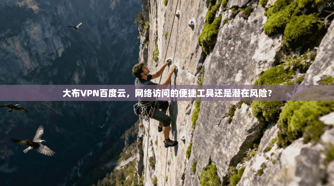 大布VPN百度云，网络访问的便捷工具还是潜在风险？