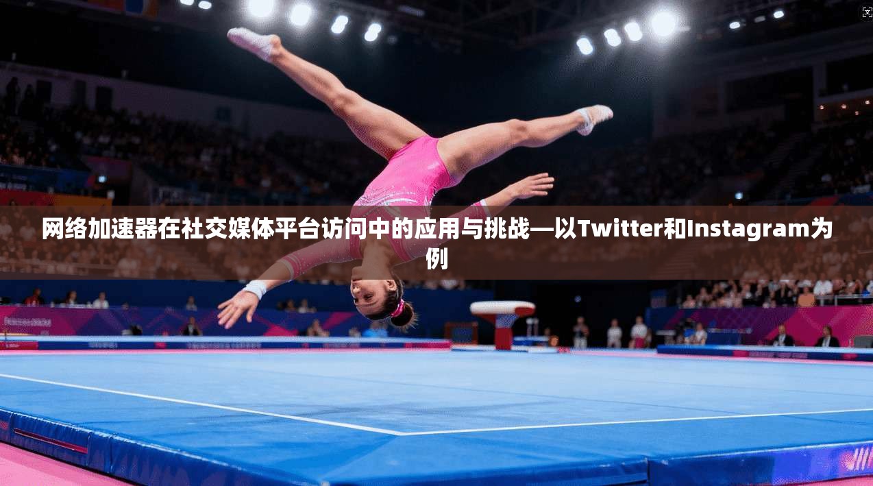 网络加速器在社交媒体平台访问中的应用与挑战—以Twitter和Instagram为例
