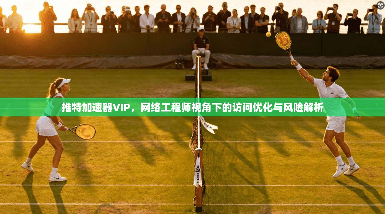推特加速器VIP，网络工程师视角下的访问优化与风险解析