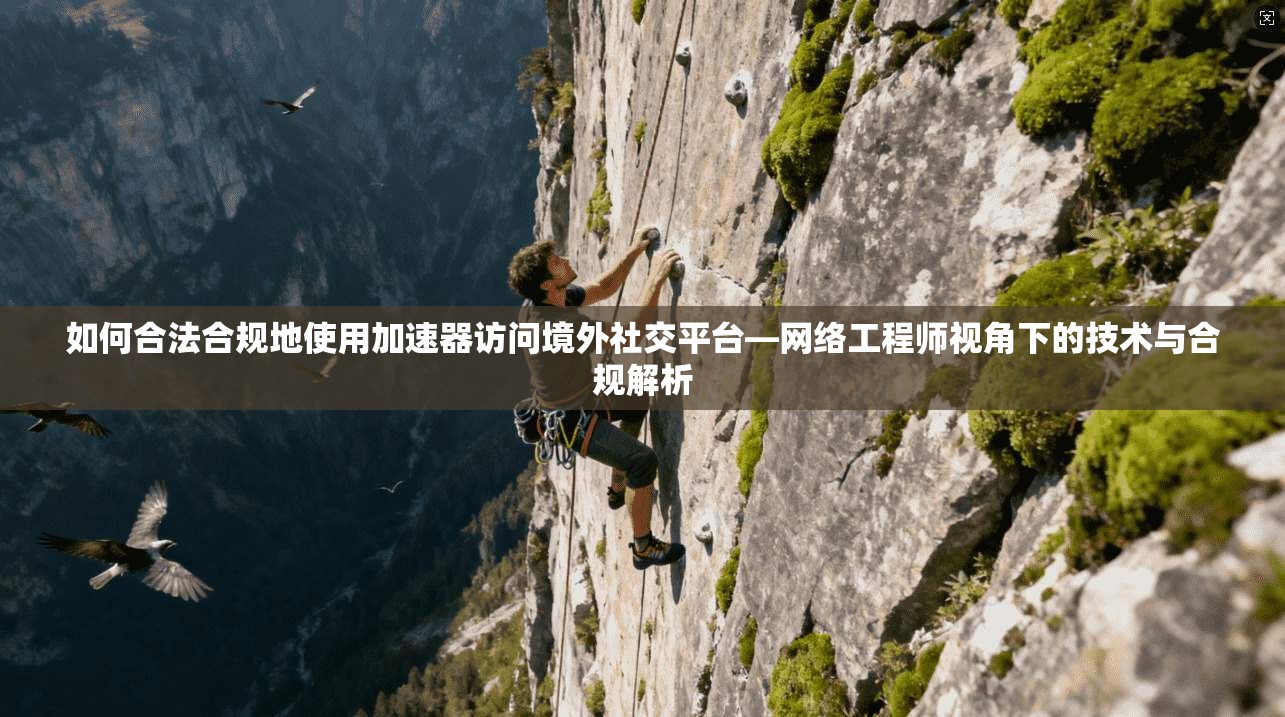 如何合法合规地使用加速器访问境外社交平台—网络工程师视角下的技术与合规解析
