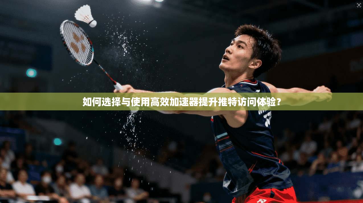 如何选择与使用高效加速器提升推特访问体验?