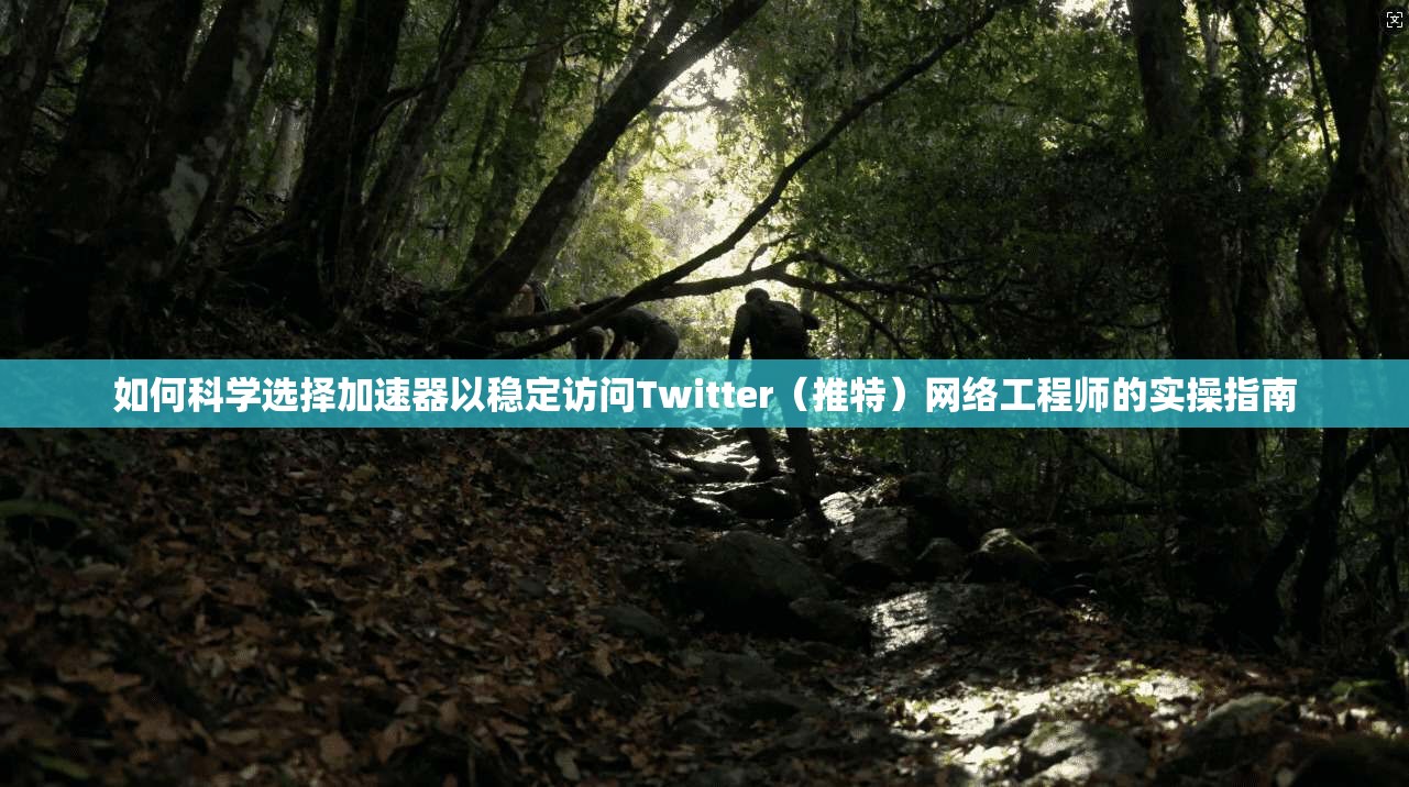 如何科学选择加速器以稳定访问Twitter(推特)网络工程师的实操指南