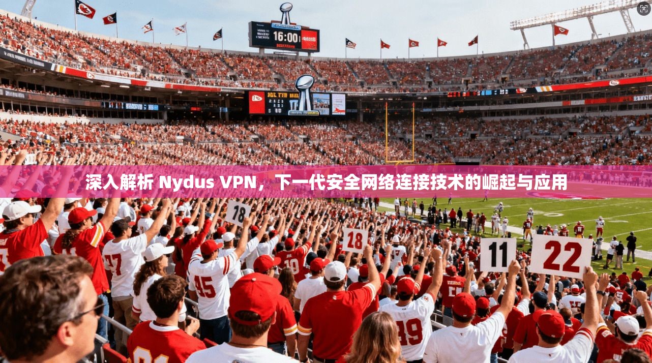 深入解析 Nydus VPN，下一代安全网络连接技术的崛起与应用