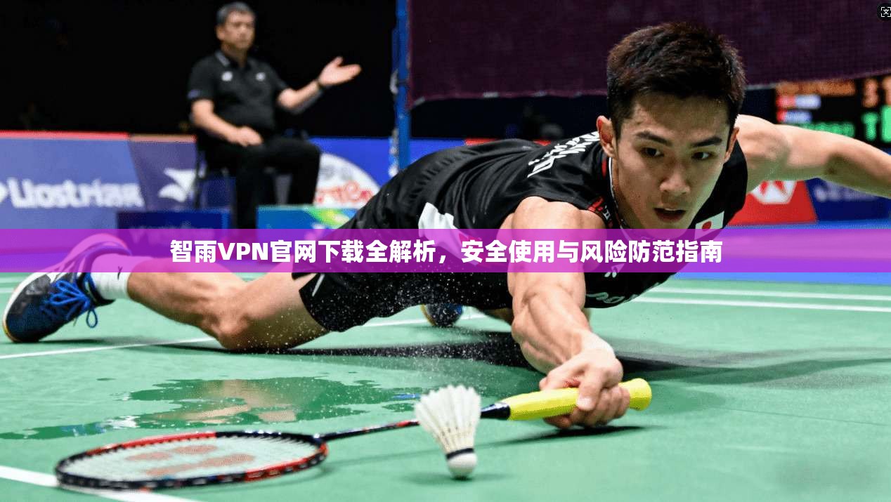 智雨VPN官网下载全解析,安全使用与风险防范指南