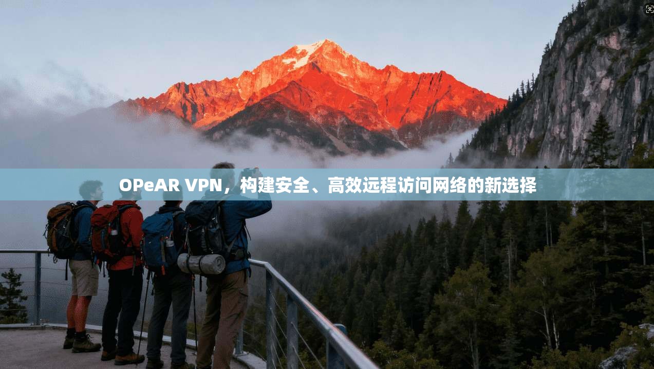 OPeAR VPN，构建安全、高效远程访问网络的新选择