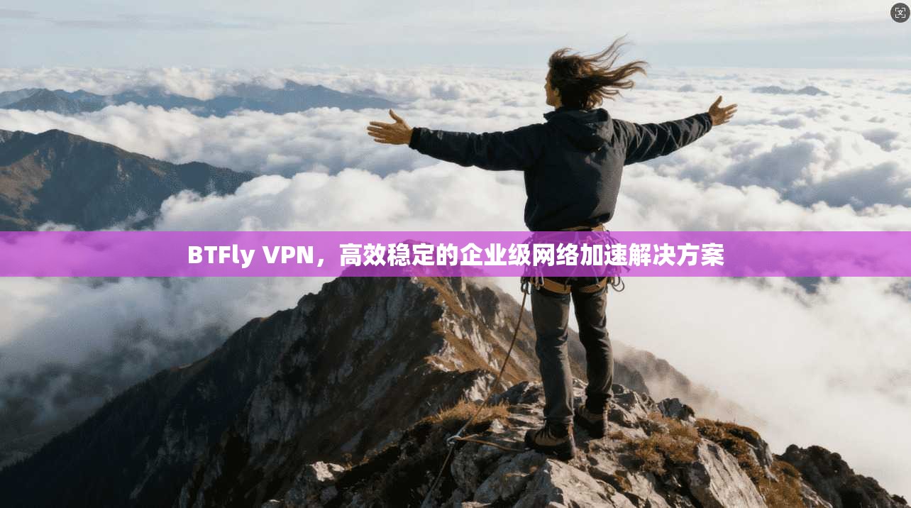 BTFly VPN，高效稳定的企业级网络加速解决方案