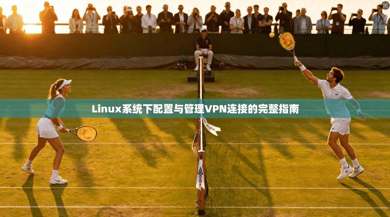 Linux系统下配置与管理VPN连接的完整指南