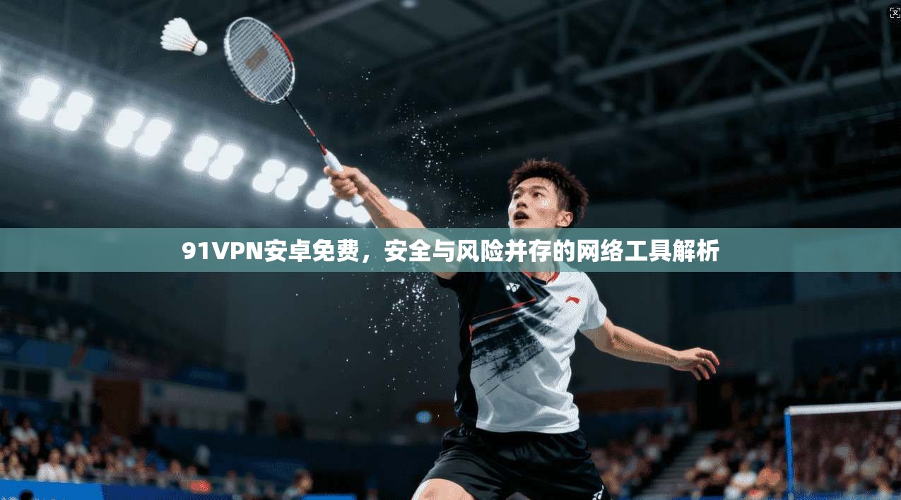 91VPN安卓免费，安全与风险并存的网络工具解析
