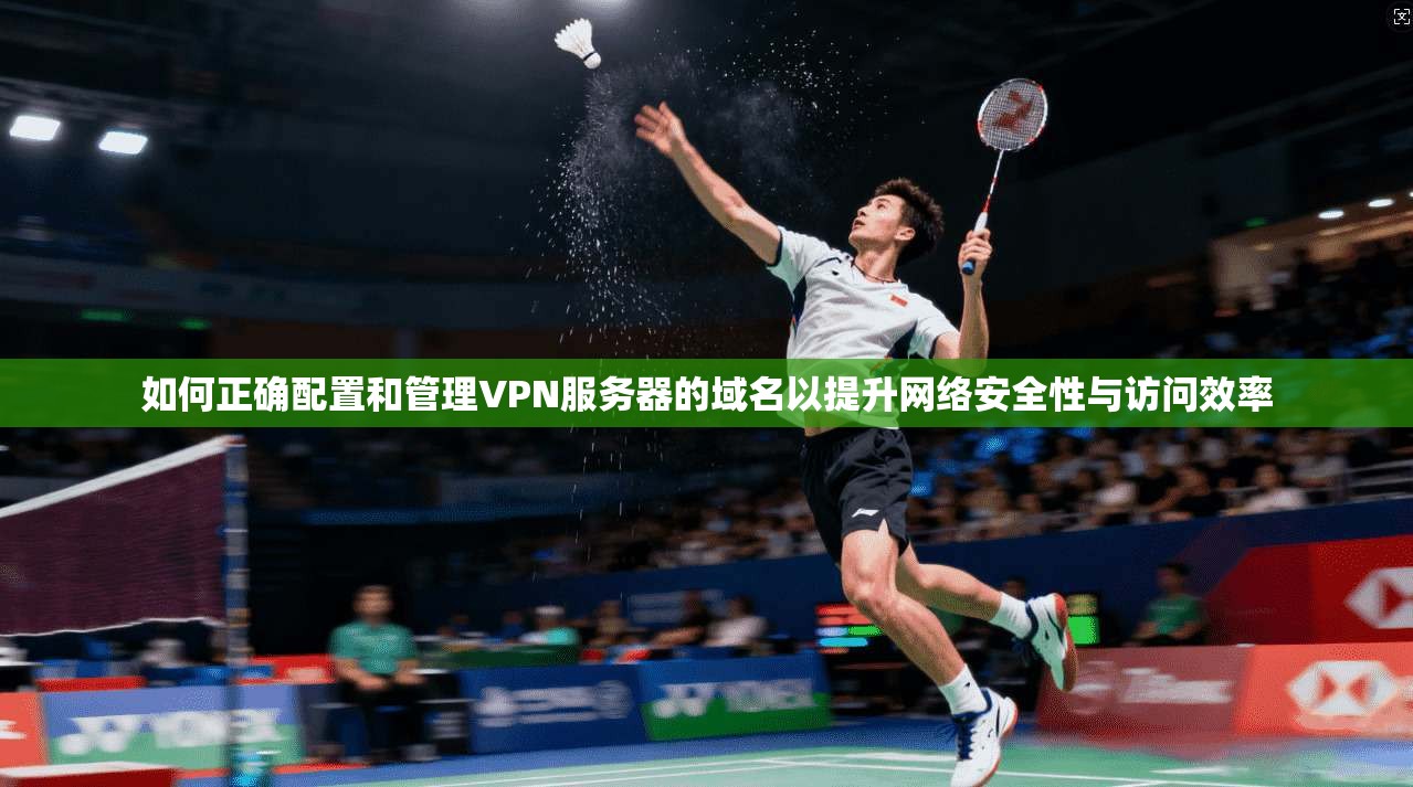 如何正确配置和管理VPN服务器的域名以提升网络安全性与访问效率