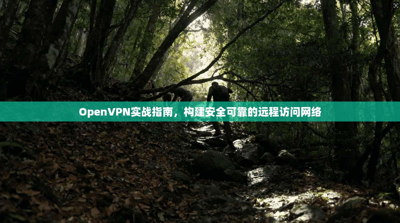 OpenVPN实战指南，构建安全可靠的远程访问网络