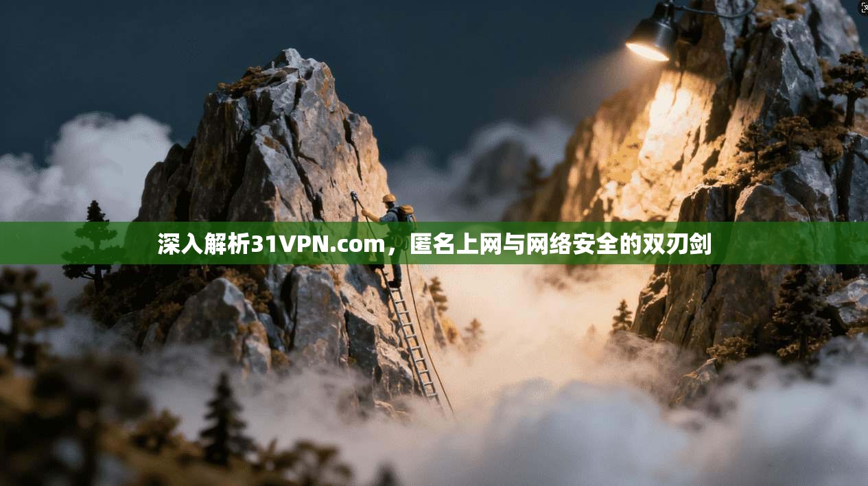 深入解析31VPN.com，匿名上网与网络安全的双刃剑