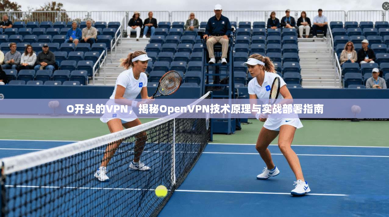 O开头的VPN，揭秘OpenVPN技术原理与实战部署指南