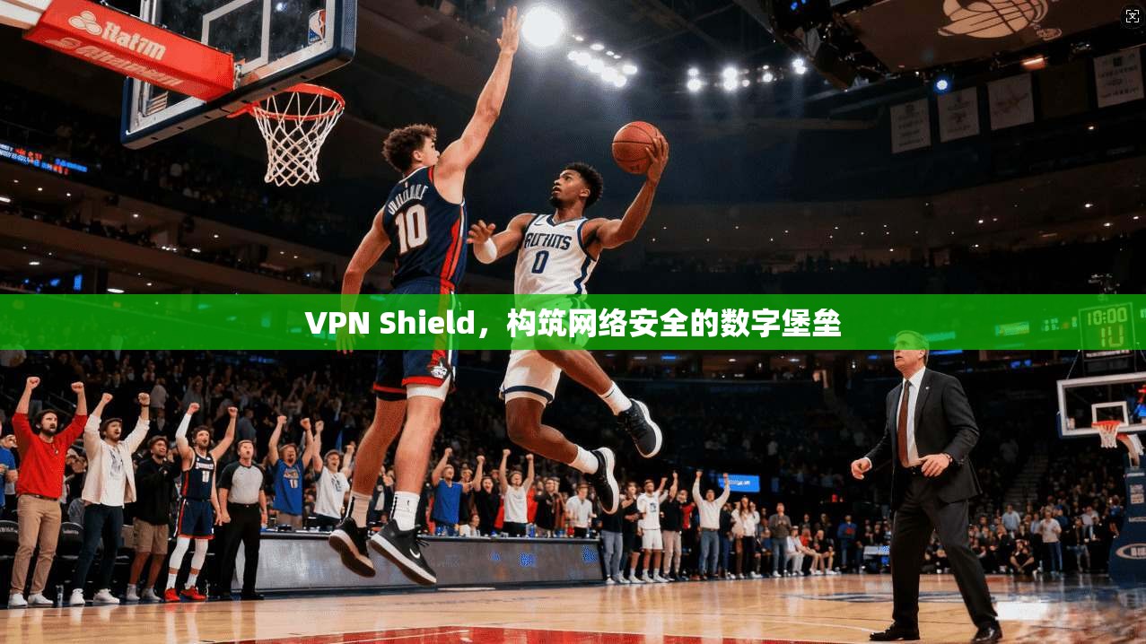 VPN Shield，构筑网络安全的数字堡垒