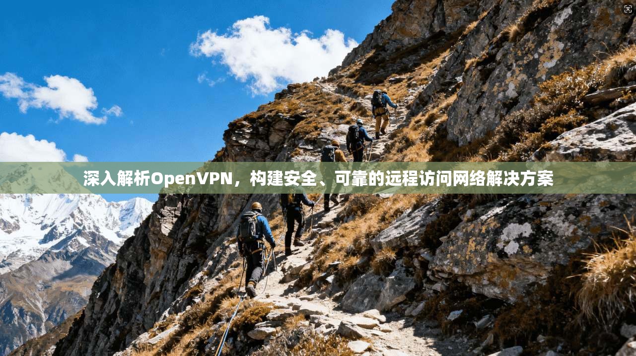 深入解析OpenVPN，构建安全、可靠的远程访问网络解决方案