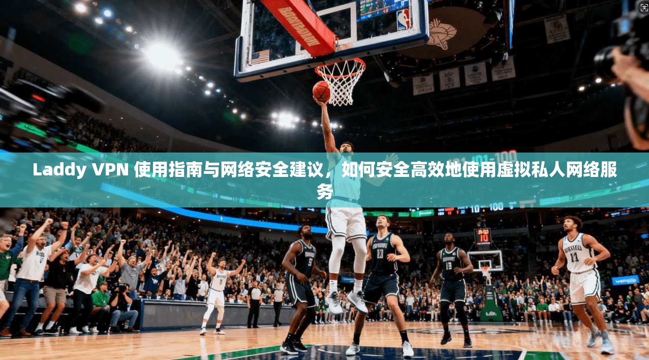 Laddy VPN 使用指南与网络安全建议，如何安全高效地使用虚拟私人网络服务