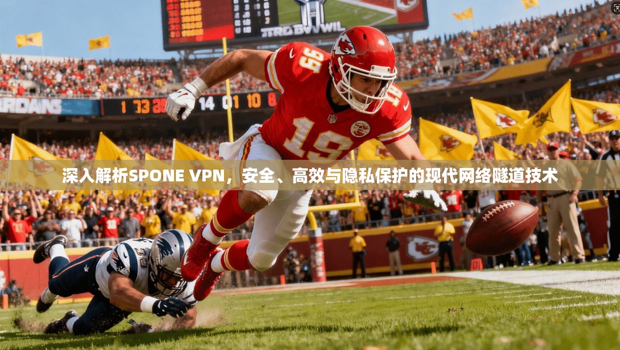 深入解析SPONE VPN，安全、高效与隐私保护的现代网络隧道技术