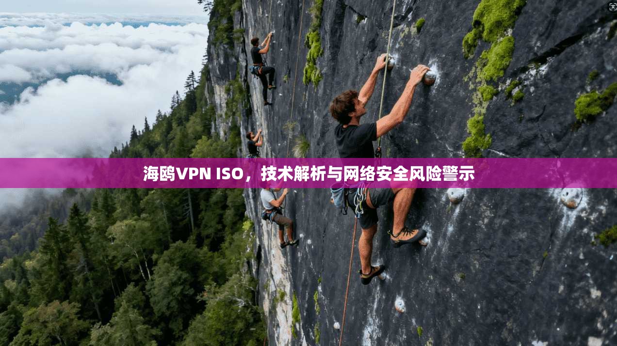 海鸥VPN ISO，技术解析与网络安全风险警示