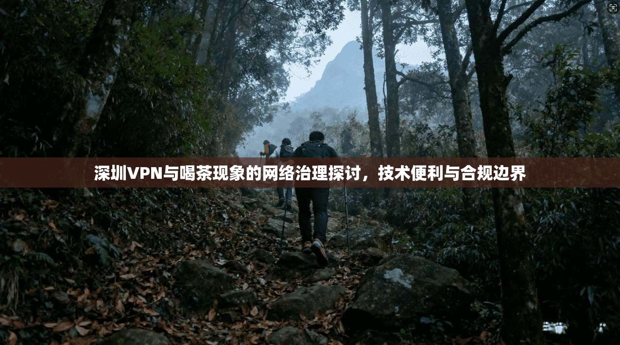 深圳VPN与喝茶现象的网络治理探讨，技术便利与合规边界